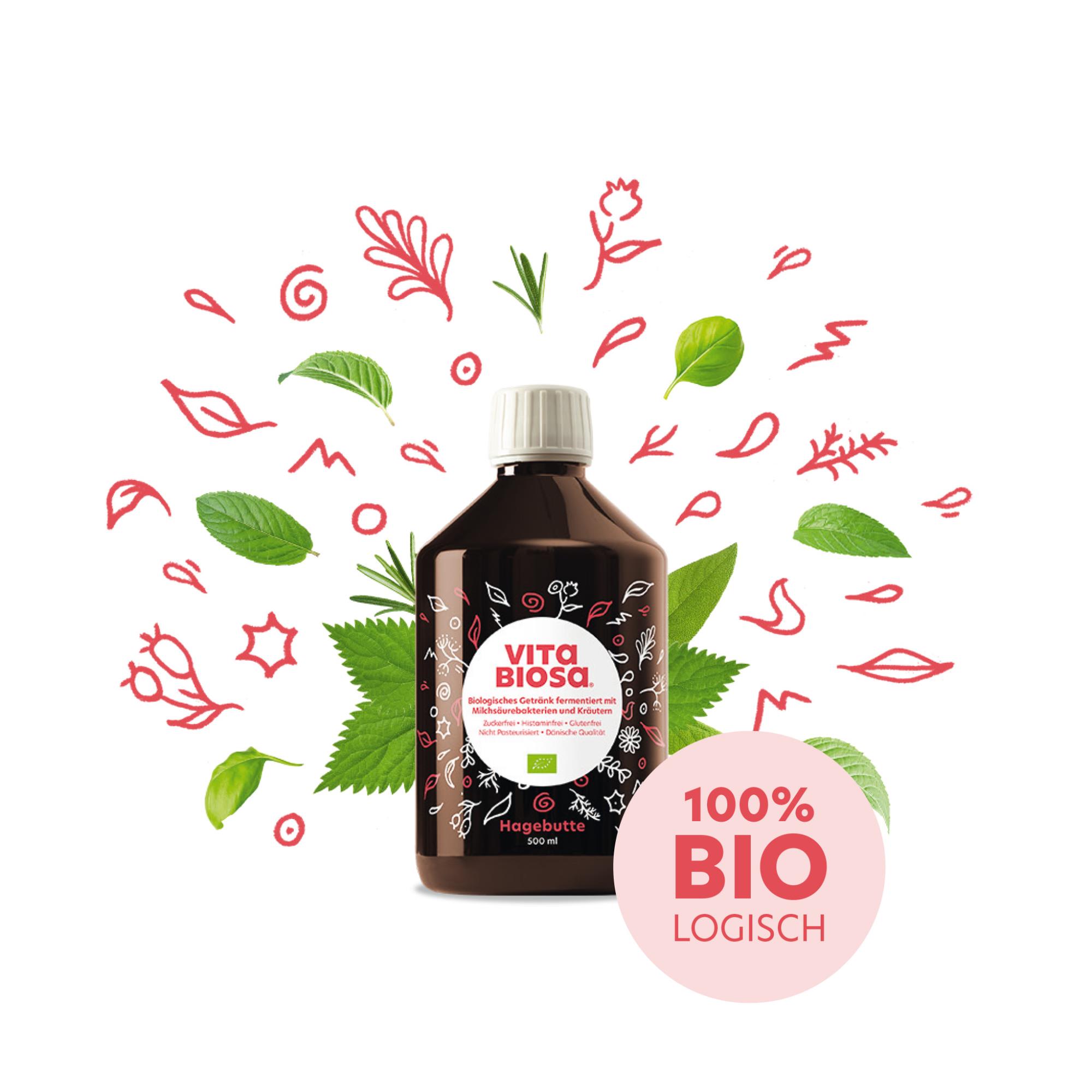 Vita Biosa Hagebutte 500ml Milchsaeurebakterien kaufen front